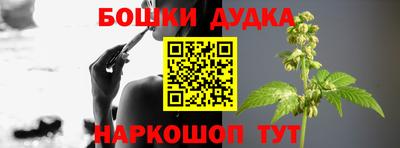 2c-b Новозыбков
