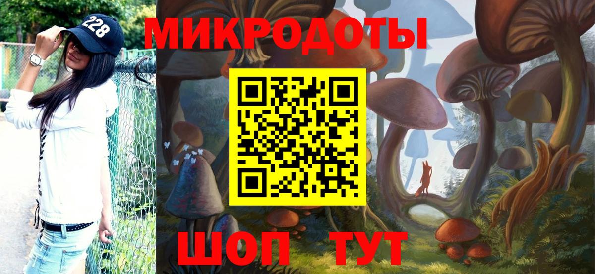 Галлюциногенные грибы Psilocybine cubensis Торжок